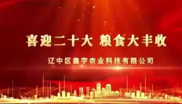 ͵羺(й)VK GAMING