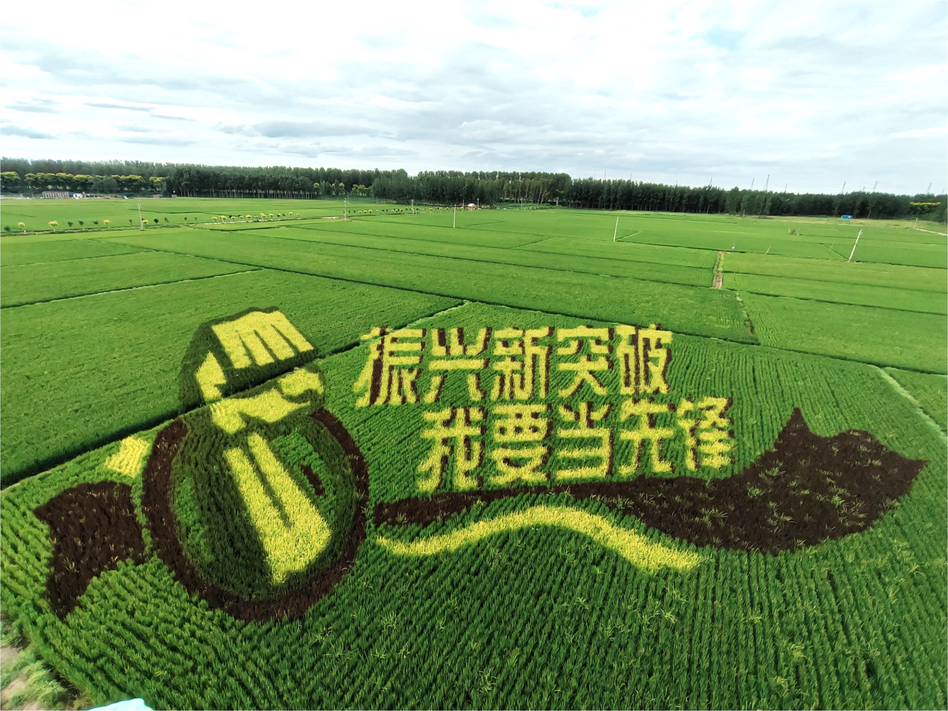 ͵羺(й)VK GAMING