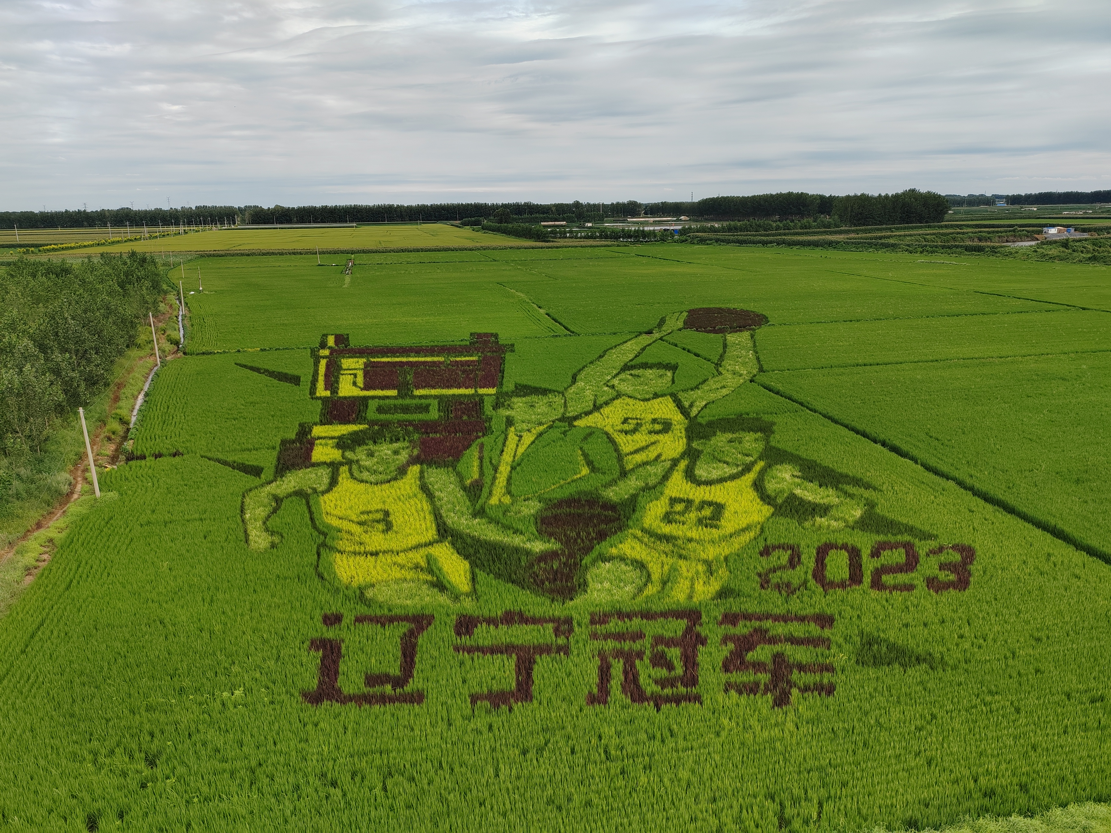 ͵羺(й)VK GAMING
